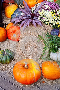 Pile of pumpkins sold at a market  for halloween