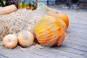 Pile of pumpkins sold at a market  for halloween