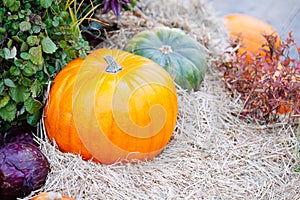 Pile of pumpkins sold at a market  for halloween