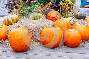 Pile of pumpkins sold at a market  for halloween