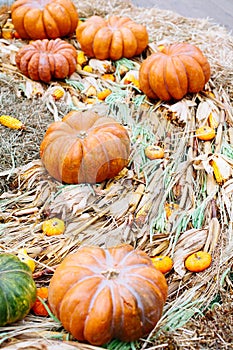 Pile of pumpkins sold at a market  for halloween