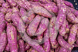 Pile of purple sweet potato, fresh sweet potatos