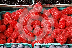 Pile of rasberries horizontal