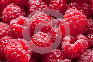 Pile of raspberry macro closeup image