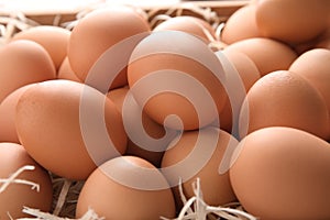 Pile of raw brown chicken eggs