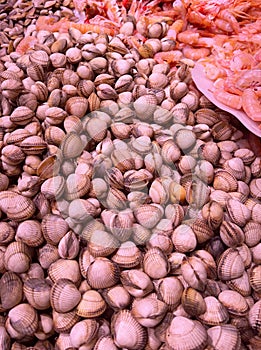 Pile of raw cockles. Assortment of cockles and fresh seafood