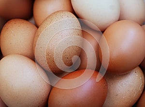 A Pile of Raw Fresh Brown Chicken Eggs Background