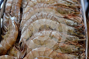 Pile of raw frozen shrimps, a crustacean (a form of shellfish) with an elongated body