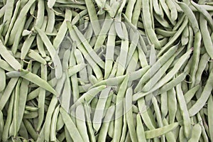 A pile of raw green beans. Fresh green bean Phaseolus vulgaris