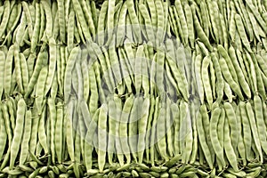 A pile of raw green beans. Fresh green bean Phaseolus vulgaris