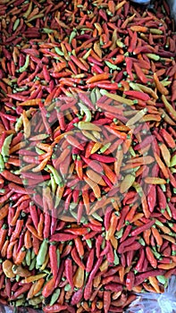 Pile of red cayenne pepper In traditional market