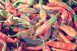 A pile of Red Chile peppers