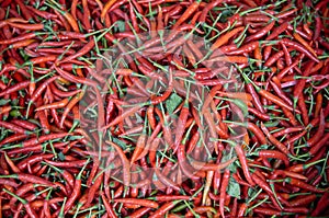 Pile of red chili peppers