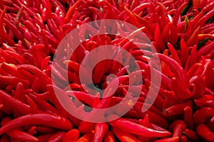 Pile of red chilli for spicy eating background