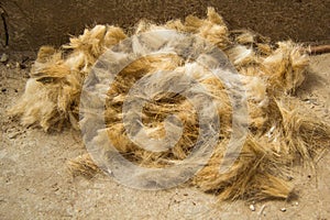 A pile of red dog`s wool that was cut off her. The wool is on the ground