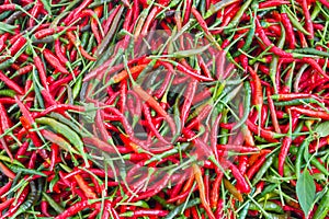Pile of red hot chili