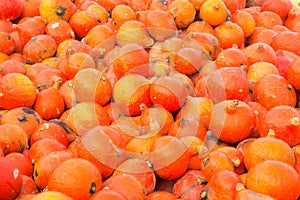 Pile of red kuri squash pumpkins