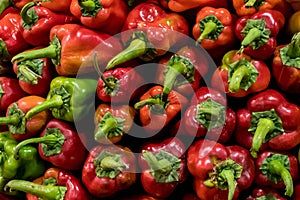 Pile of red peppers at the vegetables market.