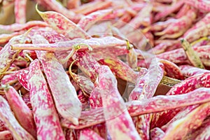 Pile of red romano beans italian pole beans, being sold at a farmer`s market. Red and white texture on the bean pods are showing photo