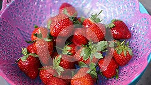 Pile of red vibrant strawberries in the basket