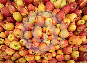 Pile of red and yellow apples in autumn