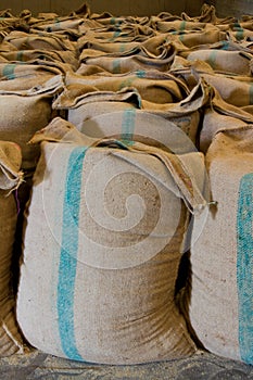 Pile of rice sacks in grain