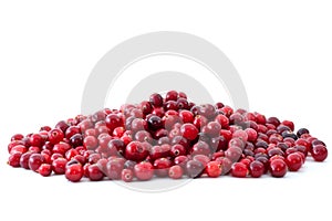 Pile of ripe cranberries