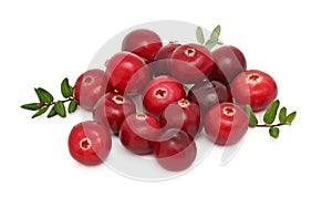 Pile of ripe cranberries (isolated)