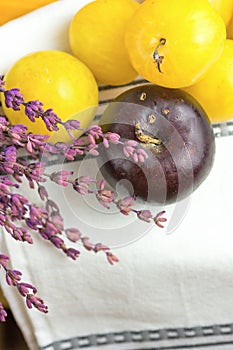 Pile of ripe juicy organic yellow red plums bouquet of lavender flowers on white cotton towel. Autumn fall Produce. Vivid Colors