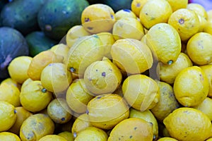 Pile of ripe lemons in market