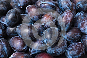 Pile of ripe organic plums close-up. Fruit background