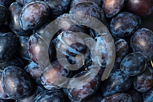 A pile of ripe organic plums at a farmers market. Close up of plum background.