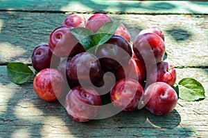 A pile of ripe plum cultivar Greengage (alycha) on a wooden table