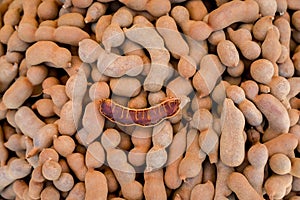 Pile of ripe Tamarind fruits.Sweet ripe tamarinds. Tamarind fruit Background. A big pile of tamarinds use for background or wallpa photo