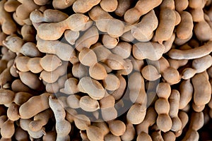 Pile of ripe Tamarind fruits.Sweet ripe tamarinds. Tamarind fruit Background. A big pile of tamarinds use for background or wallpa photo
