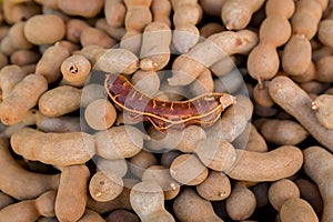 Pile of ripe Tamarind fruits.Sweet ripe tamarinds. Tamarind fruit Background. A big pile of tamarinds use for background or wallpa photo