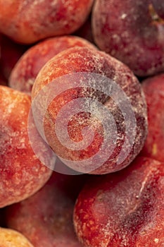 a pile of ripe washed peaches on the table