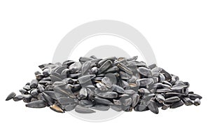 Pile of roasted sunflower seeds isolated white background