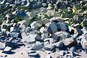 Pile of rocks along the shoreline