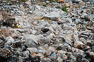 Pile of Rocks Boulders