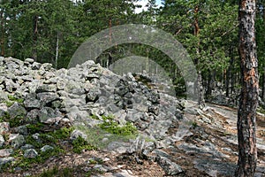 Pile of rocks in a forest