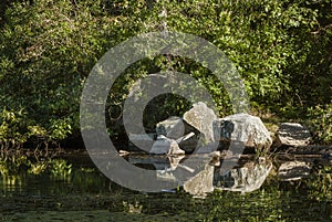 Pile of rocks reflecting in pond