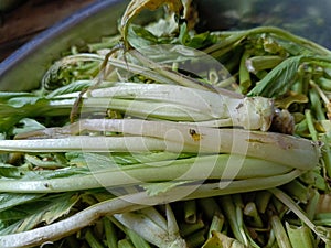 A pile of rotting vegetables