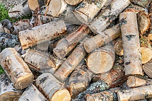 Pile of round cuts of tree wood. The logs are sawed from the trunks of birch stacked in a pile. Birch firewood, closeup photo