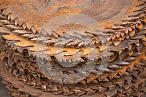 A pile of rusty circular saw blades