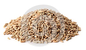 Pile of rye grains