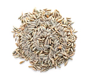 Pile of rye grains on white background. Cereal crop