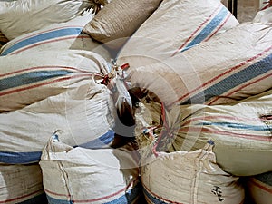 pile of sacks of raw materials