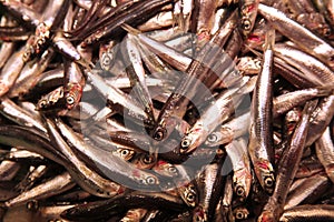 Pile of sardinas on foodmarket