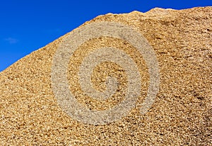 The Pile of Sawdust And A Blue Sky